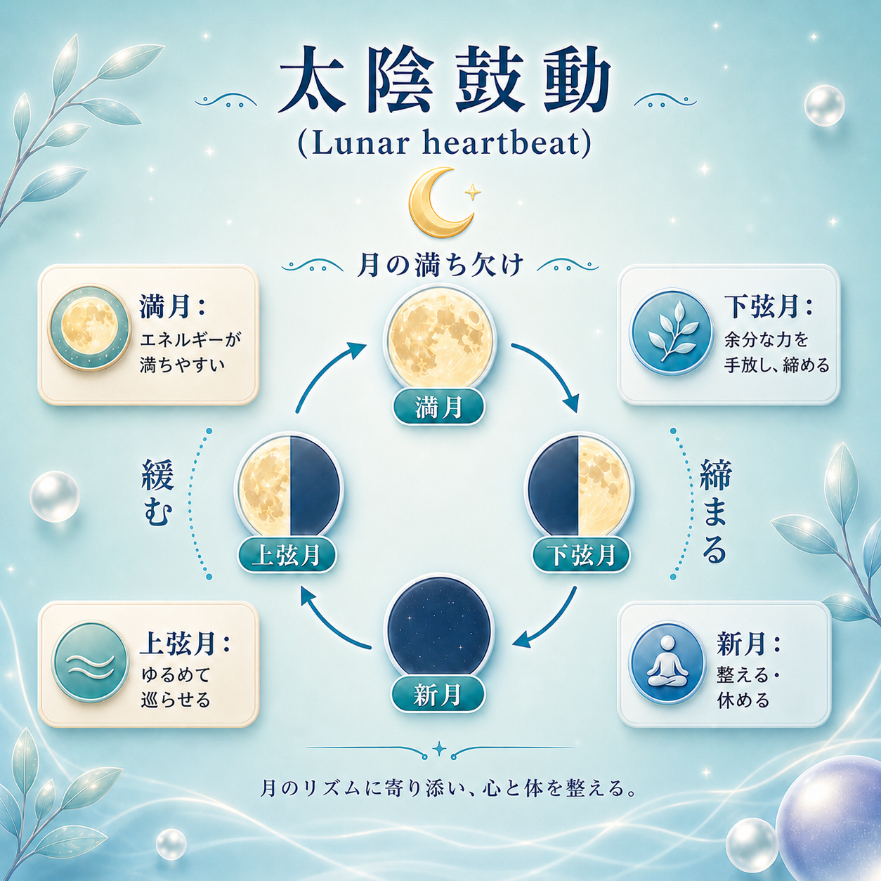 太陰弧動